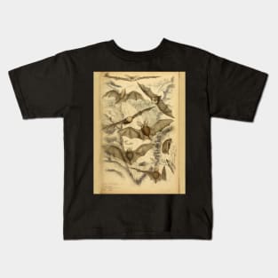 Bat 5 Flight Vintage Wildlife Illustration Kids T-Shirt